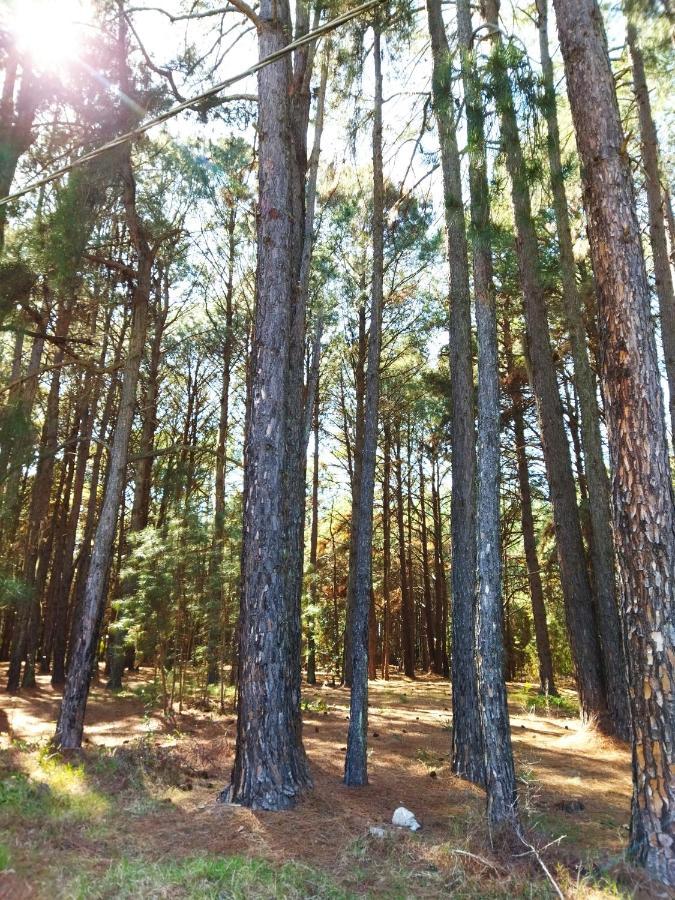 Apartamento Dos Hermanas Leilighet Colonia Estrella Eksteriør bilde
